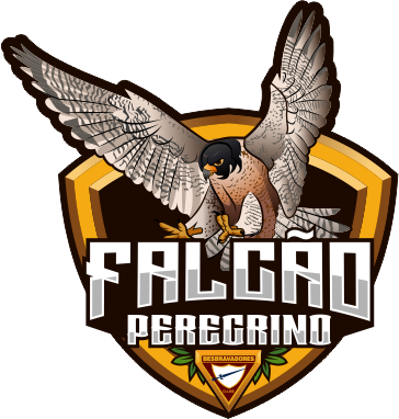 Logo Clube Falcão Peregrino